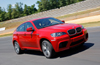 2010 BMW X6 M Picture