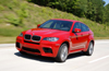 2010 BMW X6 M Picture