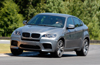 2010 BMW X6 M Picture