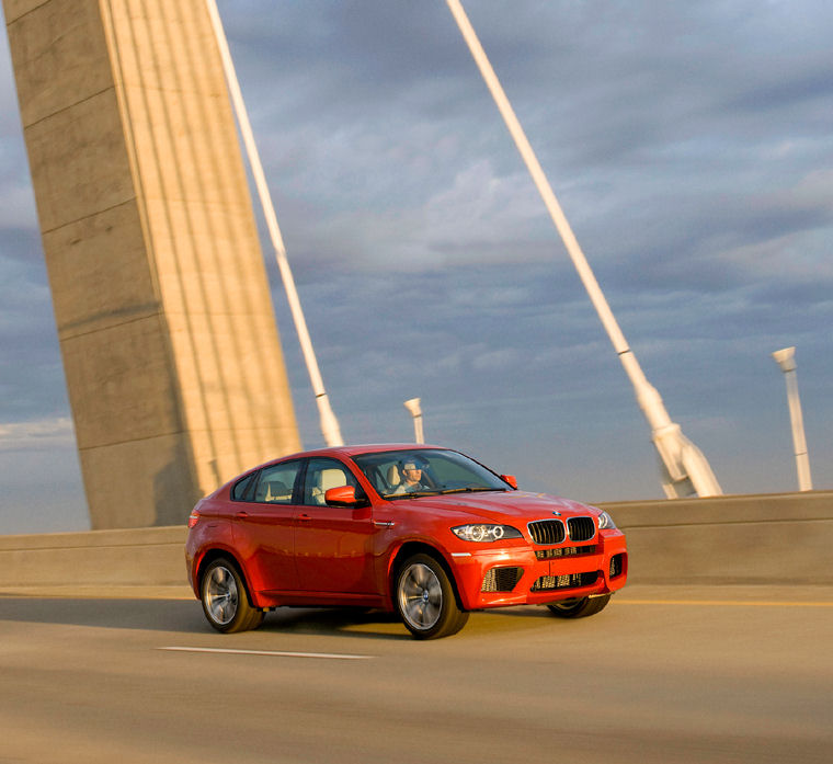 2010 BMW X6 M Picture