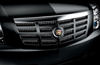 Picture of 2009 Cadillac Escalade EXT Grille