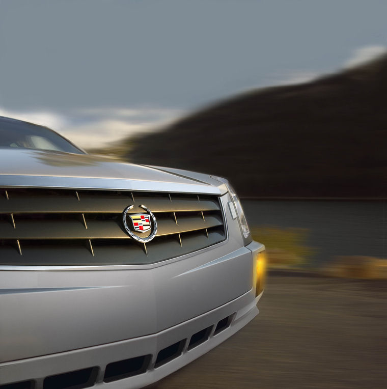 2008 Cadillac SRX Grille Picture