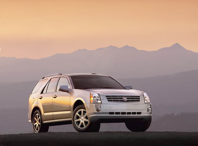 2008 Cadillac SRX Picture