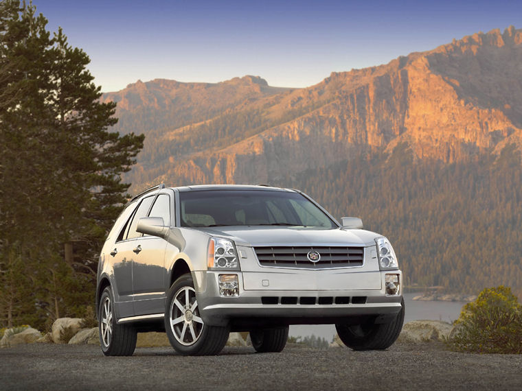 2008 Cadillac SRX Picture