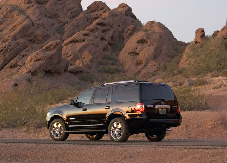 2008 Ford Expedition Picture