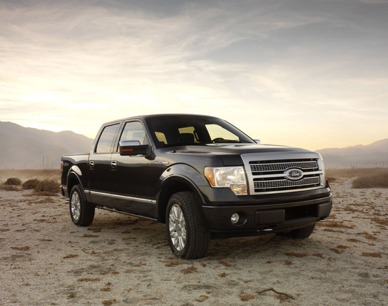 2009 Ford F150 Super Crew Platinum Picture