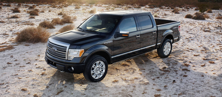 2009 Ford F150 Super Crew Platinum Picture