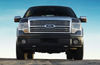 Picture of 2010 Ford F150 Super Crew Platinum