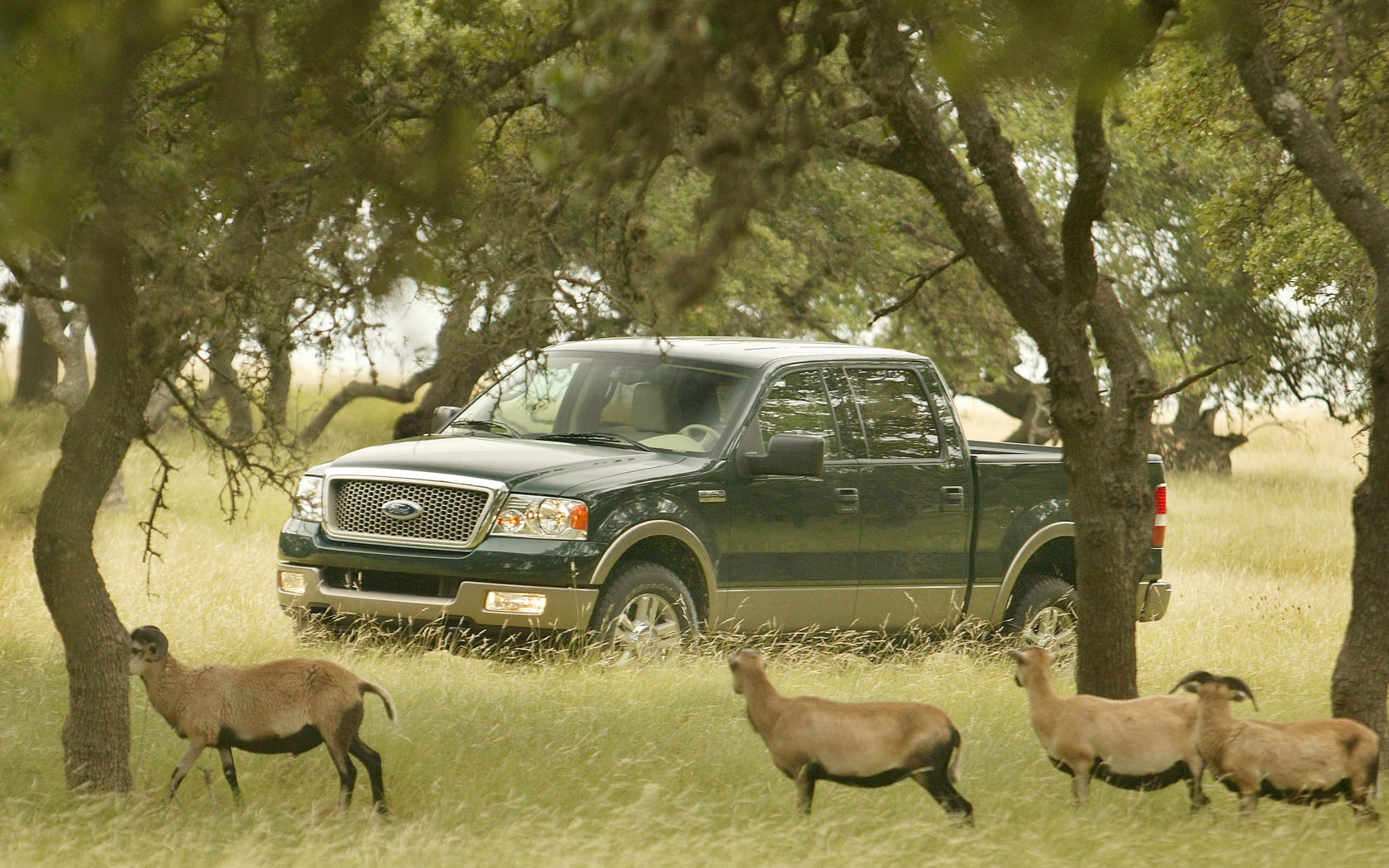 Ford F150 Desktop Wallpaper