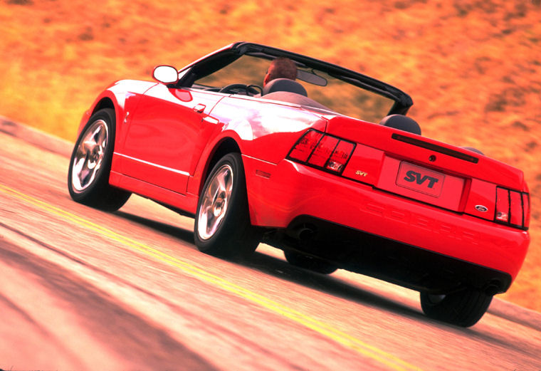 2002 Ford Mustang SVT Cobra Convertible Picture