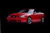 Picture of 2003 Ford Mustang SVT Cobra