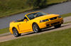 Picture of 2003 Ford Mustang SVT Cobra