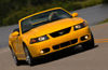 Picture of 2003 Ford Mustang SVT Cobra