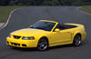 Picture of 2003 Ford Mustang SVT Cobra