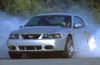 Picture of 2003 Ford Mustang SVT Cobra