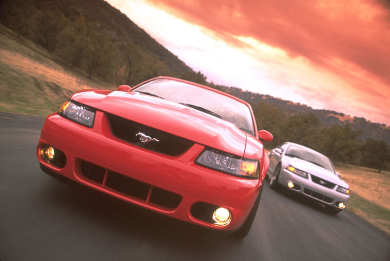 2003 Ford Mustang SVT Cobra Picture