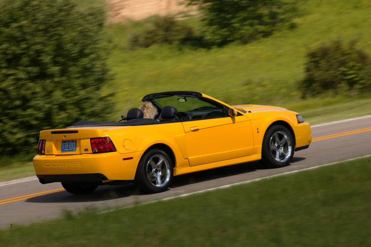 2003 Ford Mustang SVT Cobra Picture