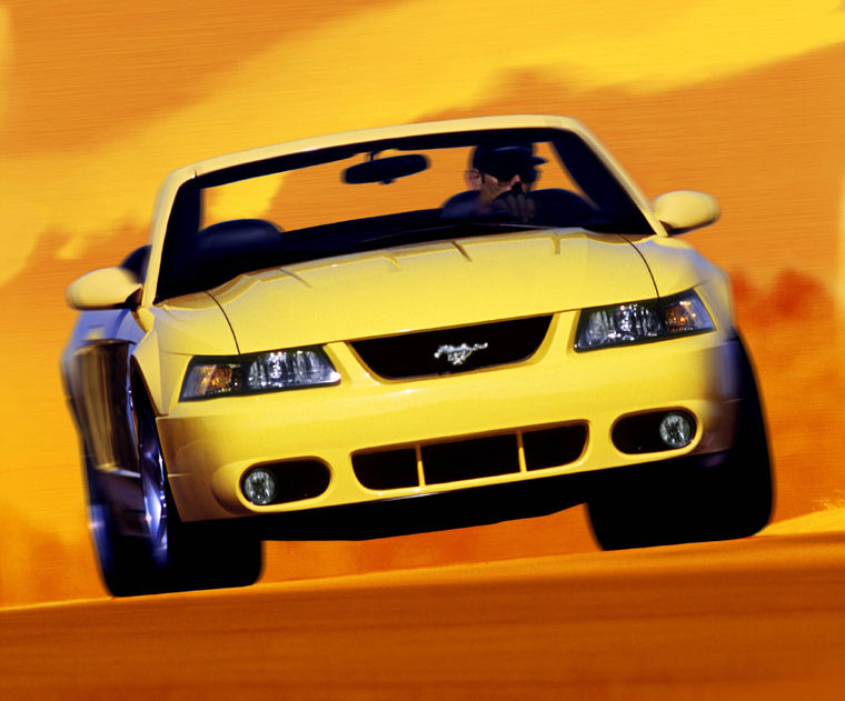 2003 Ford Mustang SVT Cobra Picture