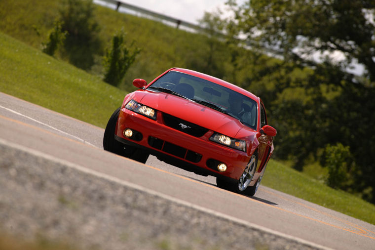 2003 Ford Mustang SVT Cobra Picture