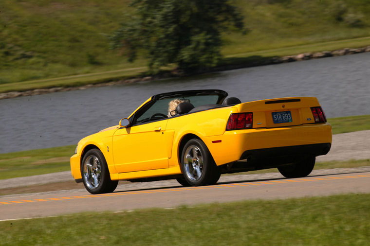 2003 Ford Mustang SVT Cobra Picture