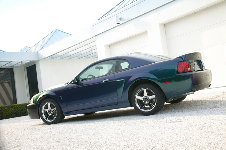 2003 Ford Mustang SVT Cobra Picture