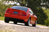 Picture of 2004 Ford Mustang SVT Cobra