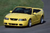 Picture of 2004 Ford Mustang SVT Cobra