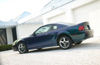 Picture of 2004 Ford Mustang SVT Cobra