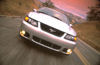 Picture of 2004 Ford Mustang SVT Cobra