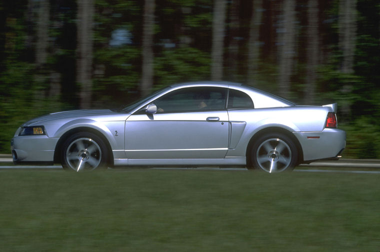 2004 Ford Mustang SVT Cobra Picture