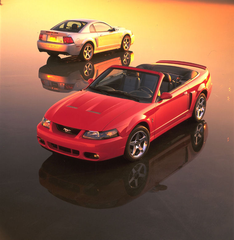 2004 Ford Mustang SVT Cobra Picture