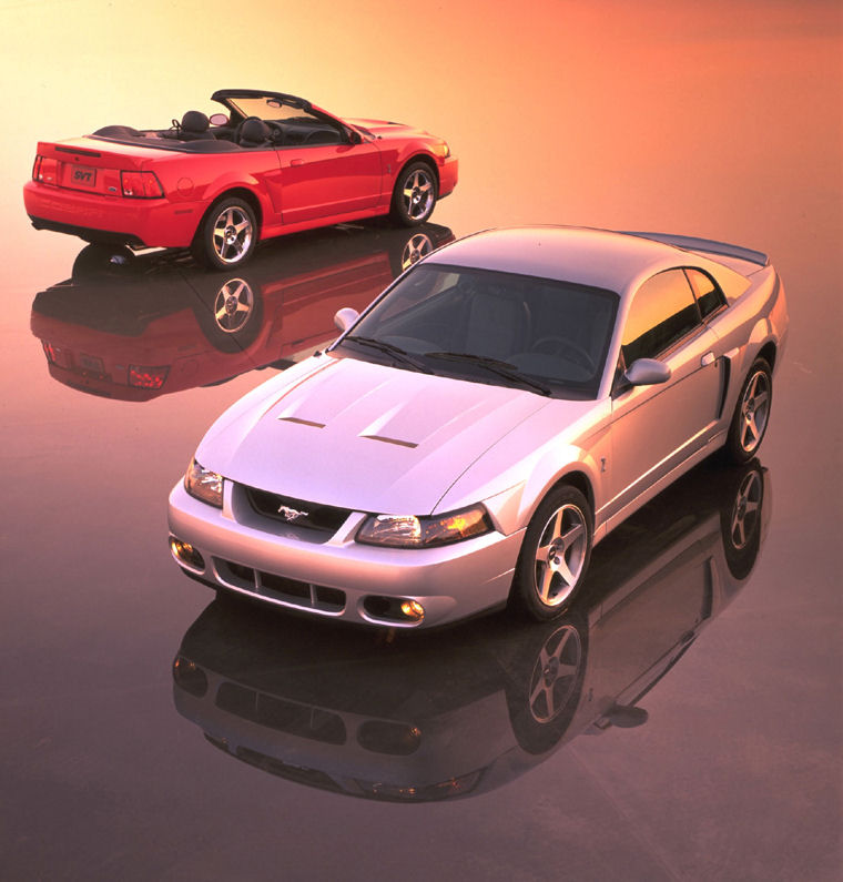 2004 Ford Mustang SVT Cobra Picture