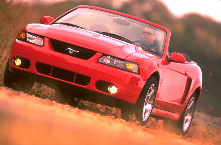 2004 Ford Mustang SVT Cobra Picture