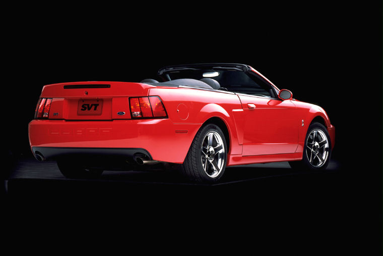 2004 Ford Mustang SVT Cobra Picture