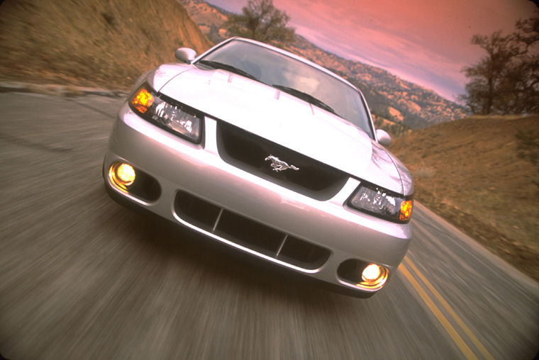 2004 Ford Mustang SVT Cobra Picture