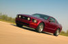 2005 Ford Mustang GT Picture