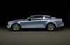 2006 Ford Mustang V6 Picture