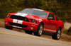 2007 Shelby GT500 Picture