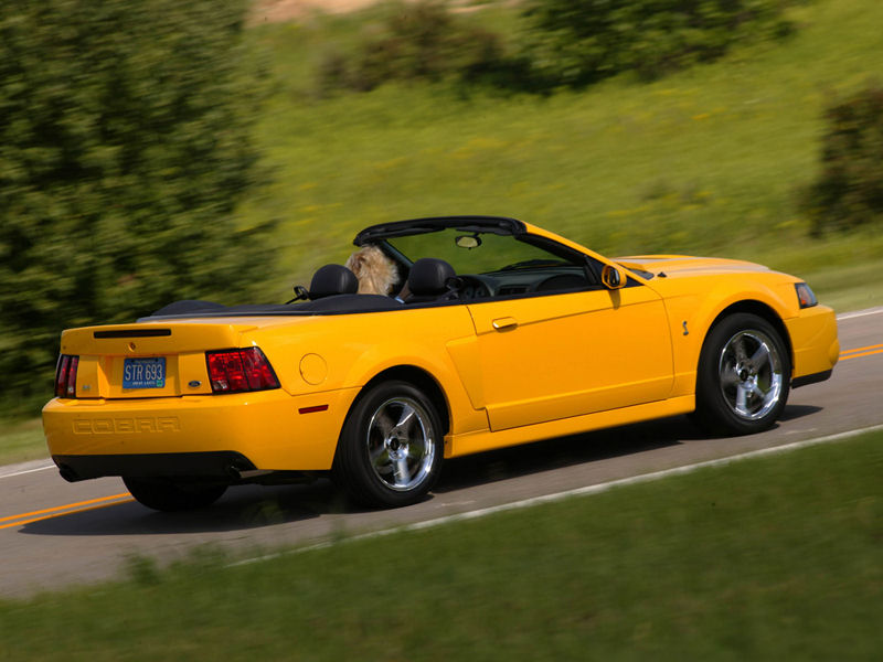 Ford Mustang Desktop Wallpaper