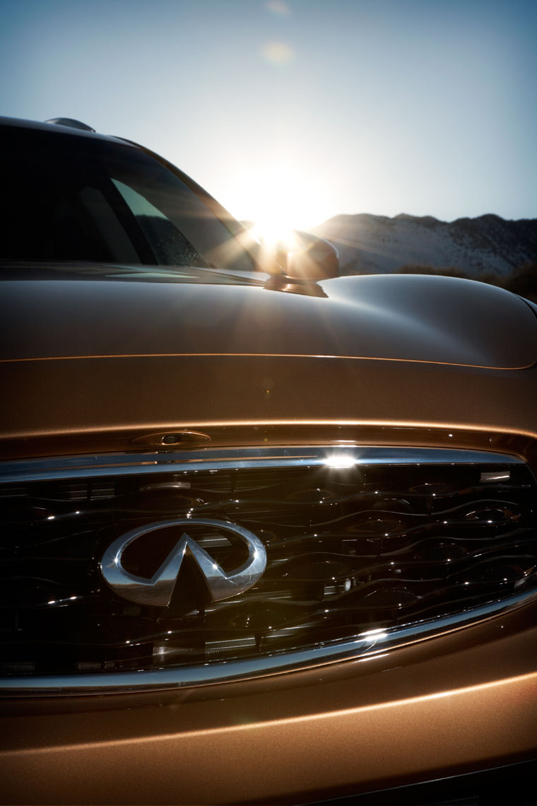 2010 Infiniti FX35 Grille Picture