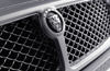 Picture of 2009 Jaguar XJ8 Grille