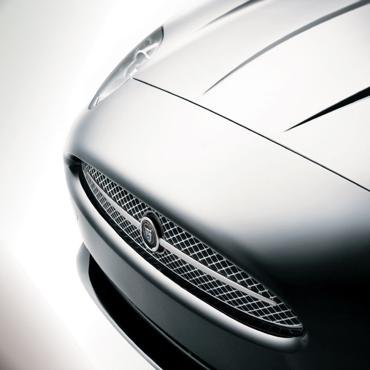 2008 Jaguar XK Grille Picture