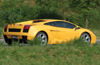 2008 Lamborghini Gallardo Picture