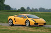 2008 Lamborghini Gallardo Picture