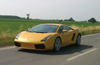 2008 Lamborghini Gallardo Picture