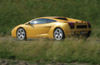 2008 Lamborghini Gallardo Picture