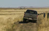 2009 Nissan Frontier Crew Cab PRO-4X Picture