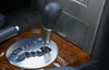 Picture of 2006 Nissan Maxima Center Console