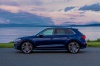 2019 Audi SQ5 quattro Picture