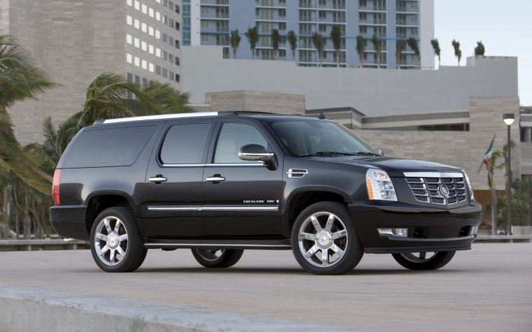 2010 Cadillac Escalade ESV Picture